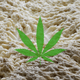 Illustration for article titled Scientists Can Now Make THC from Yeast